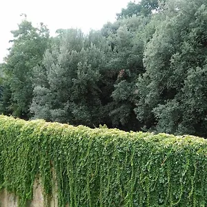 https://unangolo-incantato.it-tuscanyhotel.com